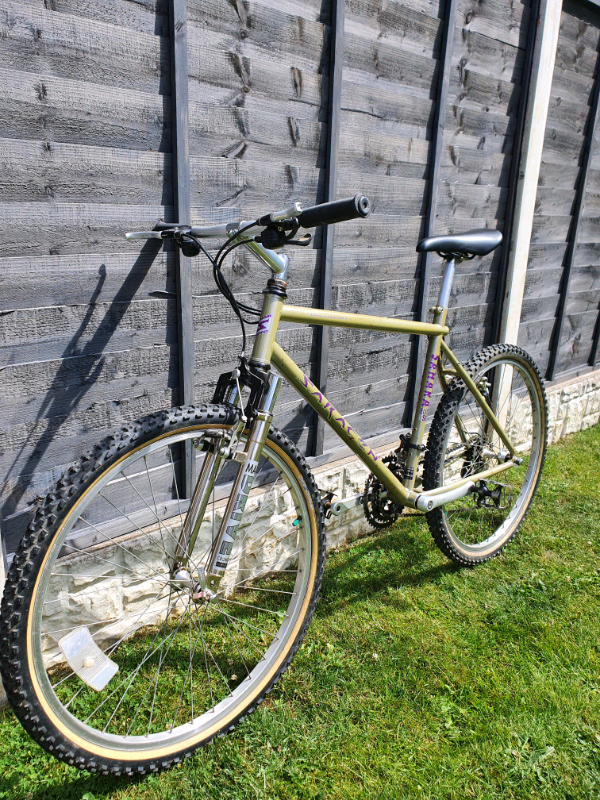vintage saracen bikes